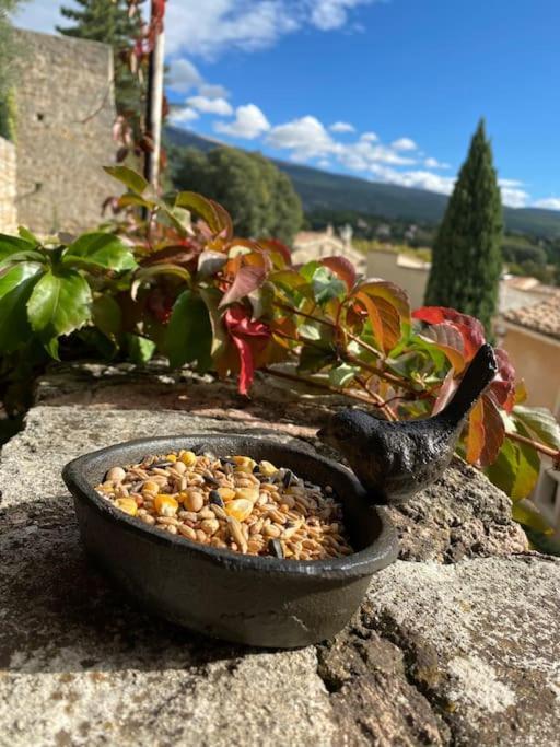 Maisonnette Bedoin Mont Ventoux Dış mekan fotoğraf